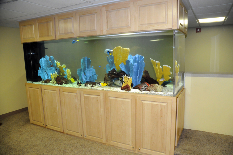 Reef Tectonics Aquarium Maintenance and Design Lincoln & Omaha